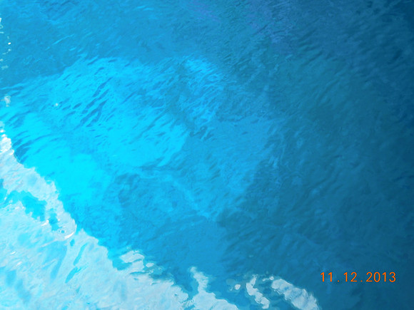 Cruise Nov 2013 - 340