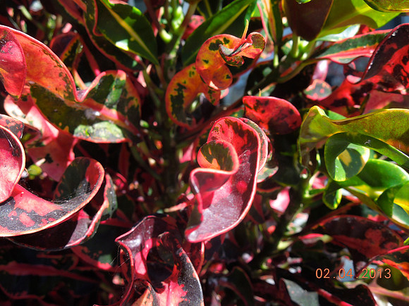 KW Feb 2013 - 028
