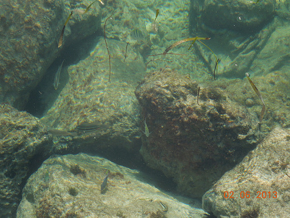 KW Feb 2013 - 124
