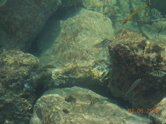 KW Feb 2013 - 125