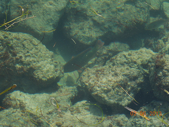 KW Feb 2013 - 127