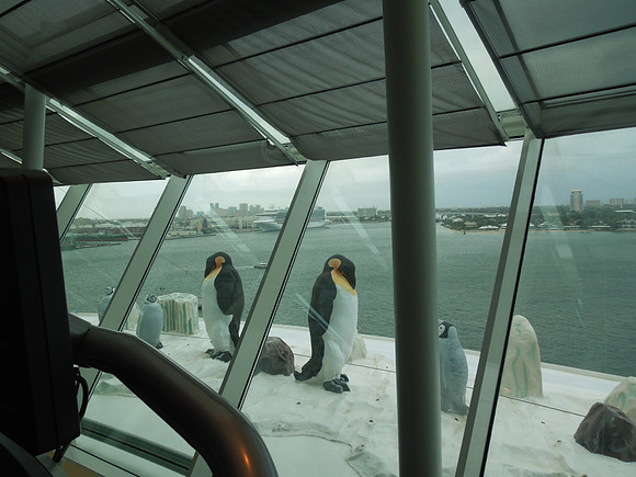 Cruise Nov 2013 - 077
