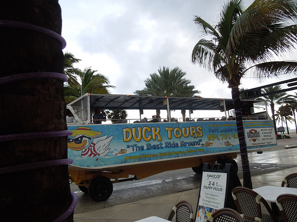 Cruise Nov 2013 - 006