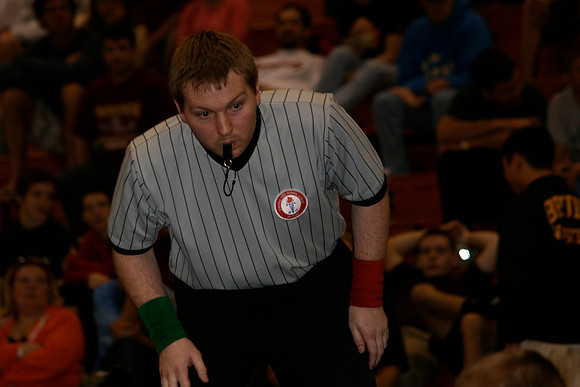 Wrestlefest 08 AAA vs AA - 081