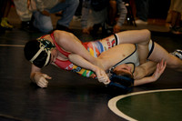 Wrestlefest (Day 2) 2008 Mar 16