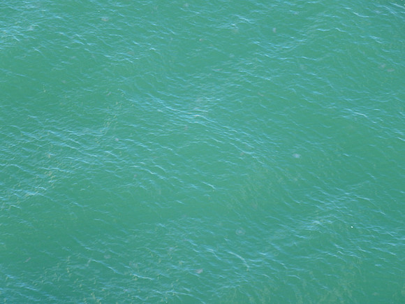 Cruise Nov 2013 - 050