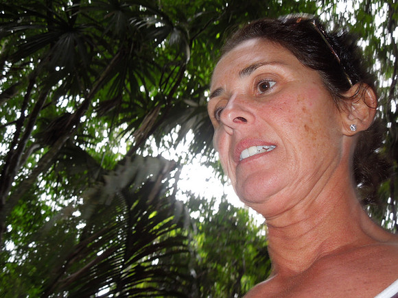 Cruise Nov 2013 - 213