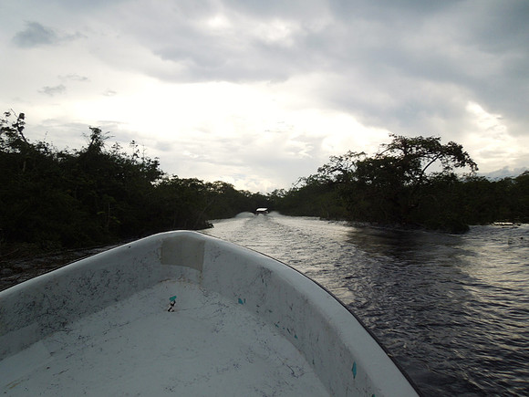 Cruise Nov 2013 - 166