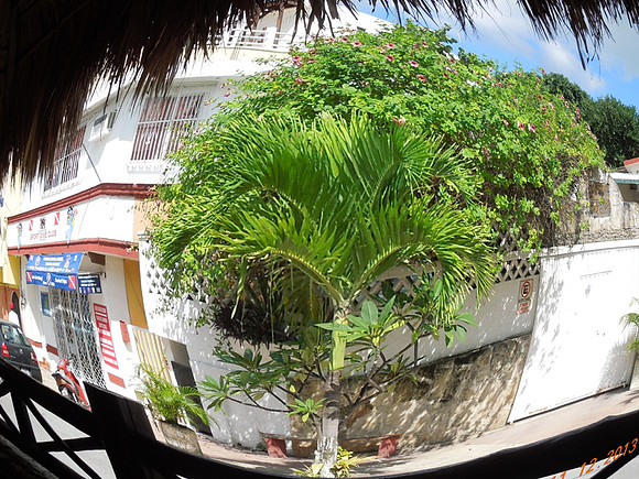 Cruise Nov 2013 - 262