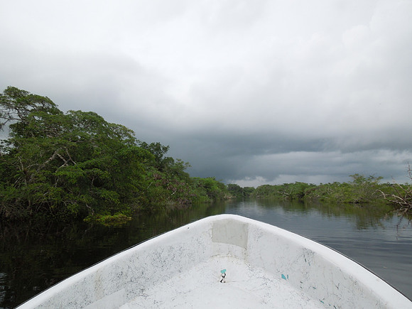 Cruise Nov 2013 - 160
