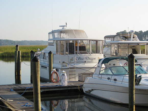 Chincoteague - 017