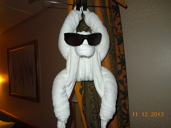 Cruise Nov 2013 - 355