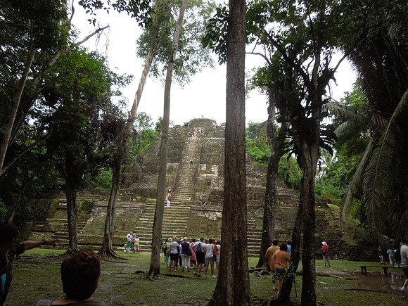 Cruise Nov 2013 - 206