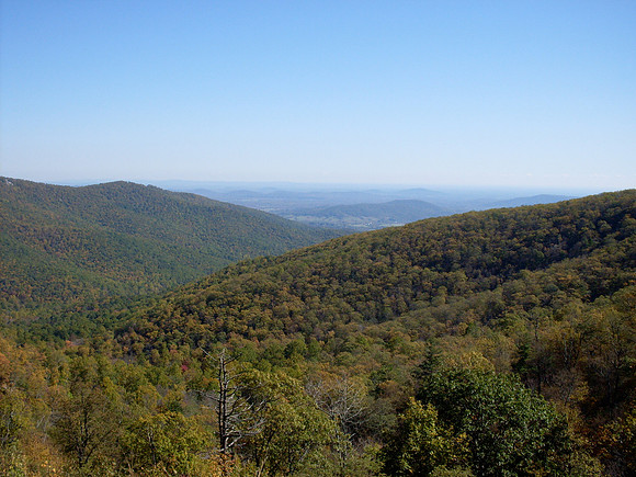 SDC10576.JPG