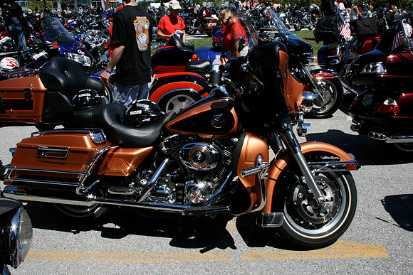 Picture of the 2008 color