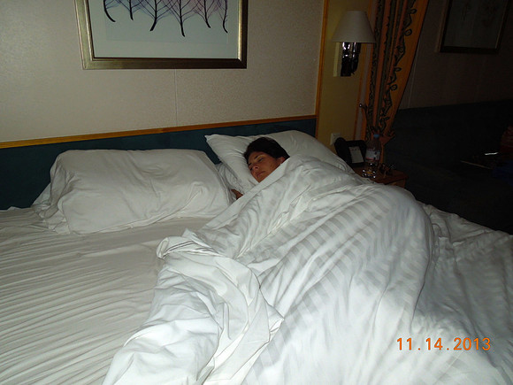 Cruise Nov 2013 - 411